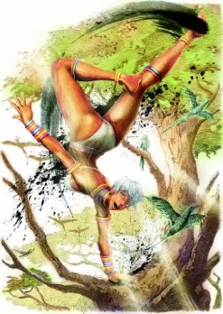 Capcom Ultra Street Fighter IV [Collector's Package] Discount