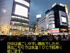 Nintendo WanSeg TV Tuner DS Discount