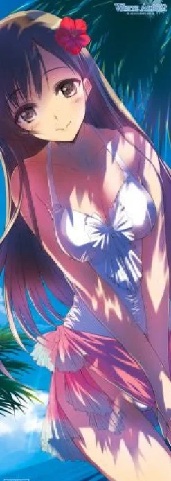 Clearance Aqua System White Album: Tsuzurareru Fuyu no Omoide [Limited Edition]