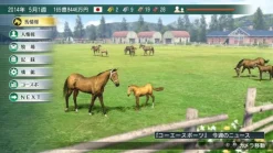 Online Koei Tecmo Games Winning Post 8 [20th Anniversary Premium Box]